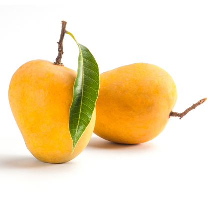 Alphonso Mango