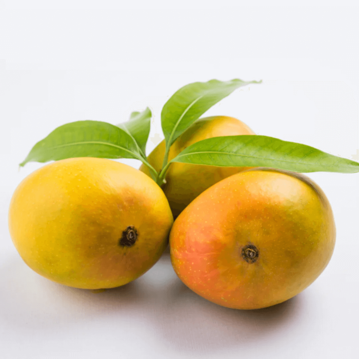 Organic Ratnagiri Alphonso Mango