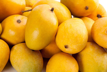 Organic Ratnagiri Alphonso Mango