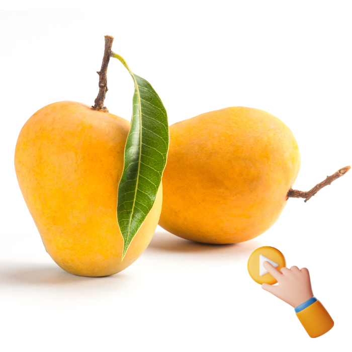 Alphonso Mango